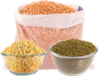 dals-pulses-cat